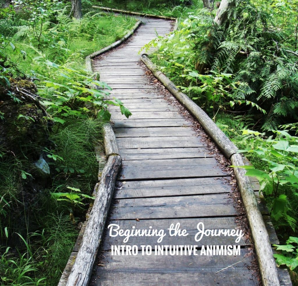 Beginning the Journey-Intro to Intuitive Animism