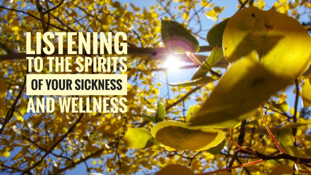 Understanding the Spirits of your Sickness