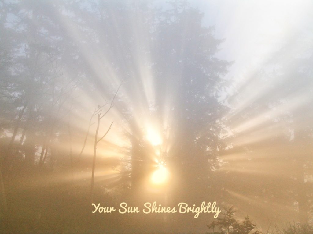 Your Sun Shines Brightly-12 week Personal Program