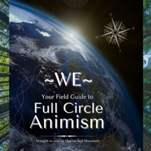 WE - Your Field Guide to Full Circle Animism