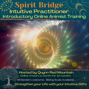 Spirit Bridge Intuitive Practitioner Introductory Training
