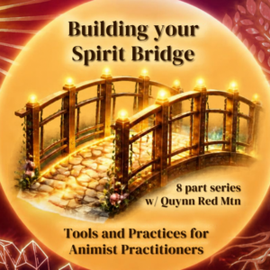 Building your Spirit Bridge 8 part online series