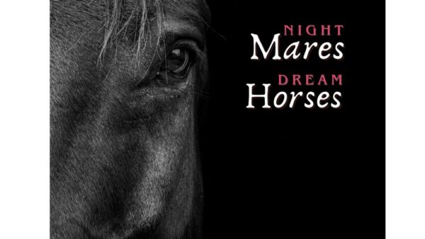 Night Mares and Dream Horses 12.24