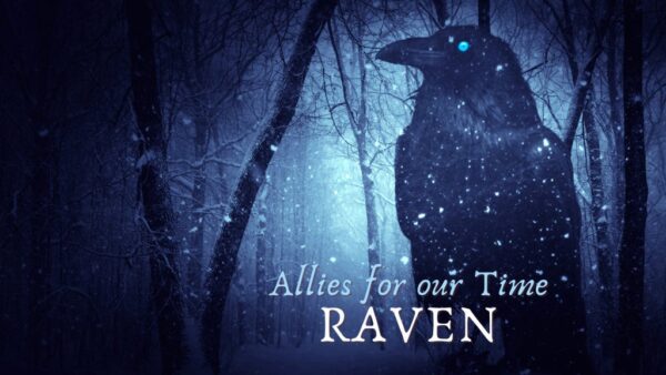 Call of the Ravens-Ally for our Time