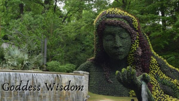 Goddess Wisdom 3.25