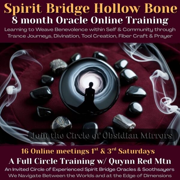 Spirit Bridge Hollow Bone Oracle Training