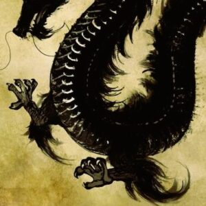 Dragon Wisdom