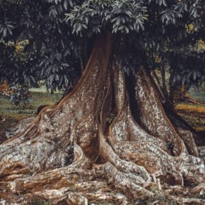 Your World Tree Exploration