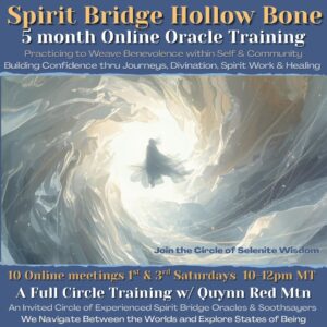 Spirit Bridge Hollow Bone Oracle Online Training Selenite Wisdom