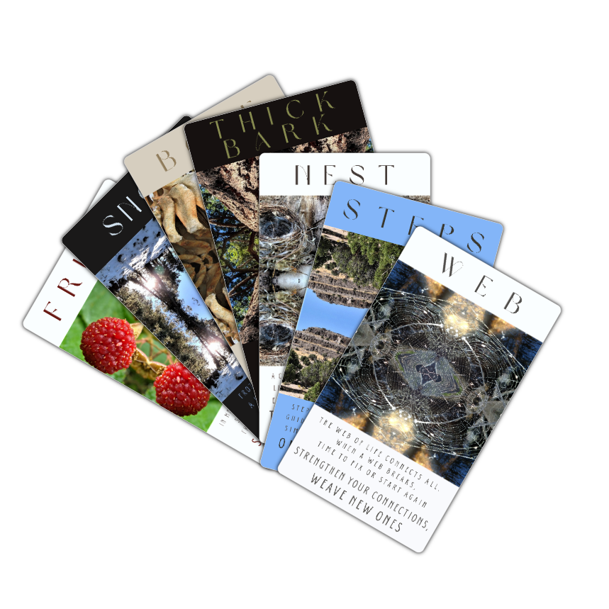 Sacred Nature Oracle Deck- Digital - Image 6
