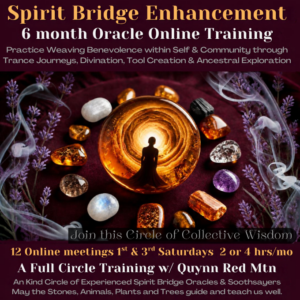Spirit Bridge Enhancement Oracle Online Training-Amber